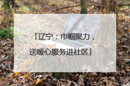 辽宁：巾帼聚力，送暖心服务进社区