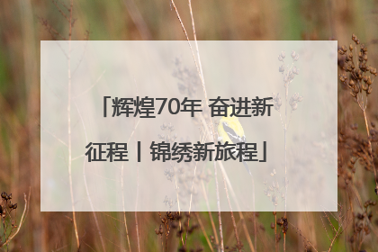 辉煌70年 奋进新征程丨锦绣新旅程