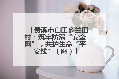 贵溪市白田乡兰田村：筑牢防溺“安全网”，共护生命“平安线”（图）