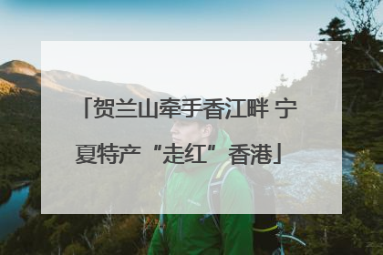 贺兰山牵手香江畔 宁夏特产“走红”香港
