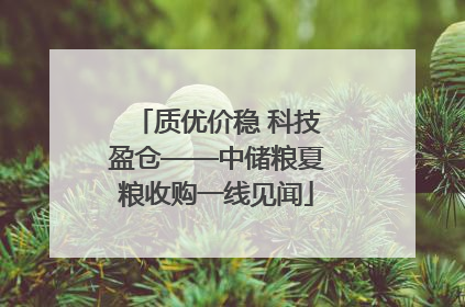质优价稳 科技盈仓——中储粮夏粮收购一线见闻