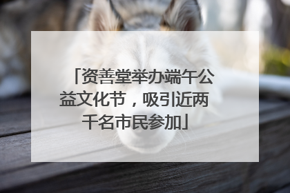 资善堂举办端午公益文化节，吸引近两千名市民参加