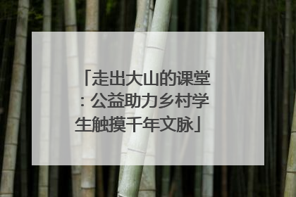 走出大山的课堂：公益助力乡村学生触摸千年文脉