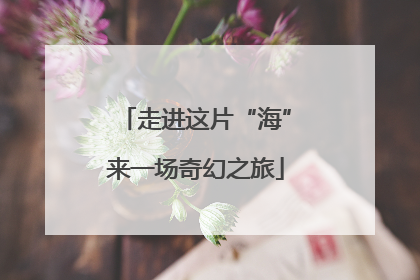 走进这片“海”来一场奇幻之旅