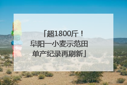 超1800斤！阜阳一小麦示范田单产纪录再刷新