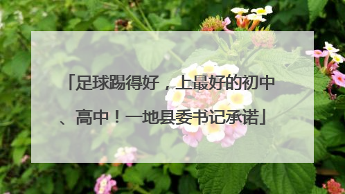 足球踢得好，上最好的初中、高中！一地县委书记承诺