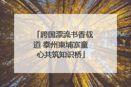 跨国漂流书香载道 泰州柬埔寨童心共筑知识桥