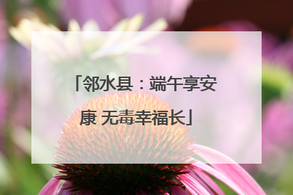 邻水县：端午享安康 无毒幸福长