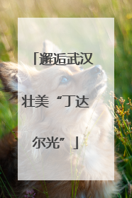 邂逅武汉壮美“丁达尔光”