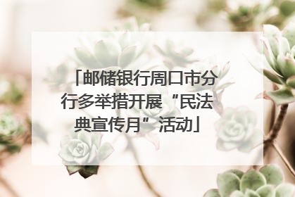 邮储银行周口市分行多举措开展“民法典宣传月”活动