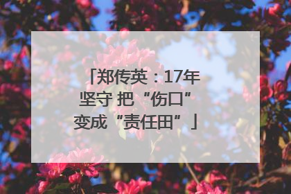 郑传英：17年坚守 把“伤口”变成“责任田”