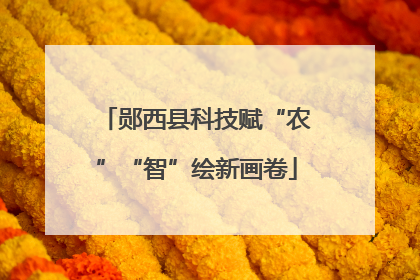 郧西县科技赋“农”“智”绘新画卷