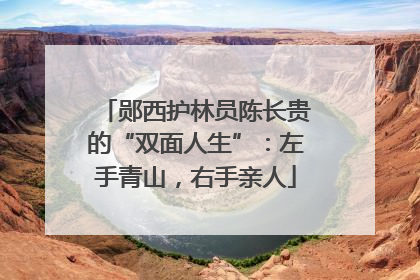 郧西护林员陈长贵的“双面人生”：左手青山，右手亲人
