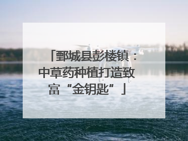 鄄城县彭楼镇：中草药种植打造致富“金钥匙”