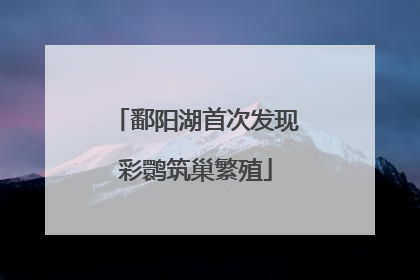 鄱阳湖首次发现彩鹮筑巢繁殖