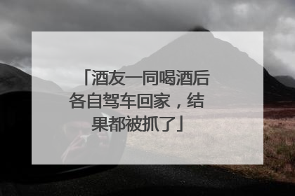 酒友一同喝酒后各自驾车回家，结果都被抓了