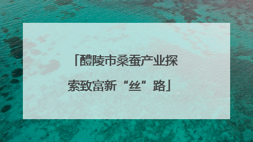 醴陵市桑蚕产业探索致富新“丝”路
