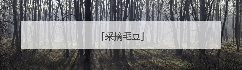 采摘毛豆