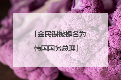 金民锡被提名为韩国国务总理