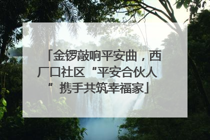 金锣敲响平安曲，西厂口社区“平安合伙人”携手共筑幸福家