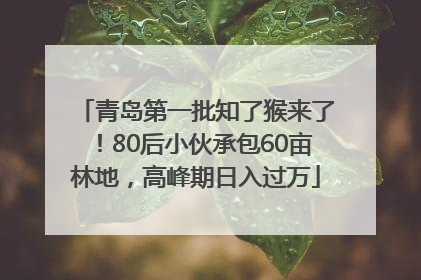 青岛第一批知了猴来了！80后小伙承包60亩林地，高峰期日入过万