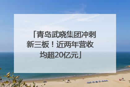 青岛武晓集团冲刺新三板！近两年营收均超20亿元