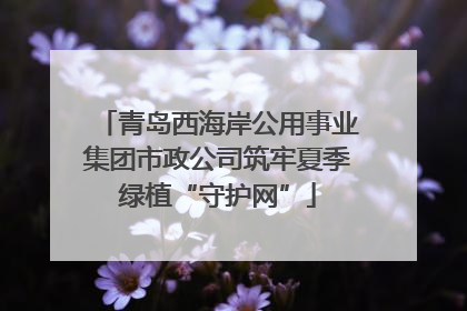青岛西海岸公用事业集团市政公司筑牢夏季绿植“守护网”