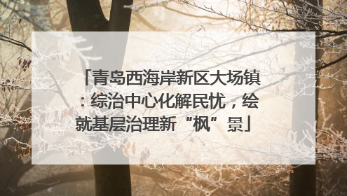 青岛西海岸新区大场镇：综治中心化解民忧，绘就基层治理新“枫”景