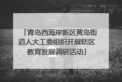 青岛西海岸新区黄岛街道人大工委组织开展辖区教育发展调研活动