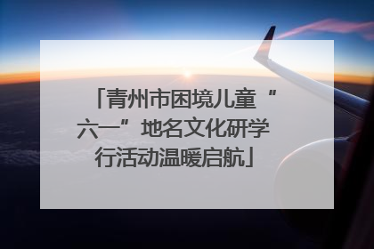 青州市困境儿童“六一”地名文化研学行活动温暖启航