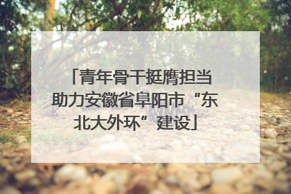 青年骨干挺膺担当 助力安徽省阜阳市“东北大外环”建设