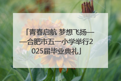 青春启航 梦想飞扬——合肥市五一小学举行2025届毕业典礼
