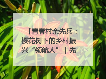 青春村余先兵：樱花树下的乡村振兴“领航人”｜先锋引领⑪
