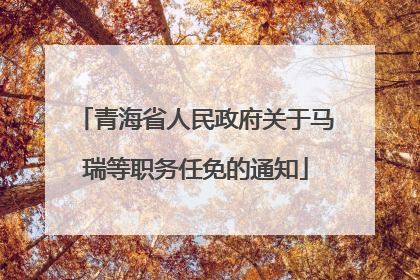 青海省人民政府关于马瑞等职务任免的通知