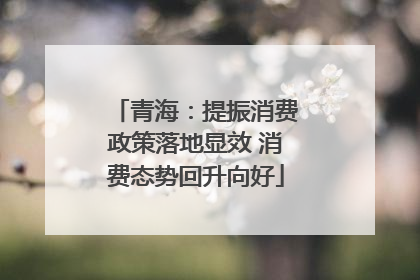 青海：提振消费政策落地显效 消费态势回升向好