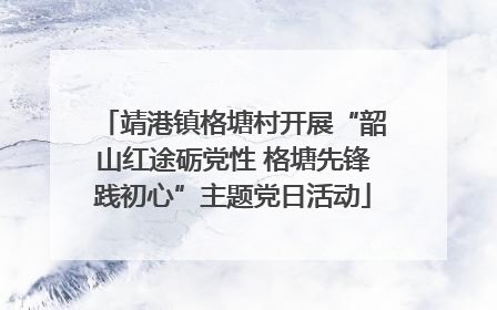 靖港镇格塘村开展“韶山红途砺党性 格塘先锋践初心”主题党日活动