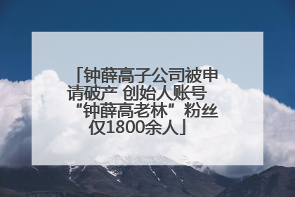 钟薛高子公司被申请破产 创始人账号“钟薛高老林”粉丝仅1800余人