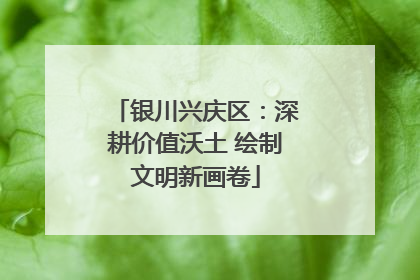 银川兴庆区：深耕价值沃土 绘制文明新画卷