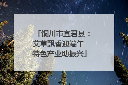 铜川市宜君县：艾草飘香迎端午 特色产业助振兴