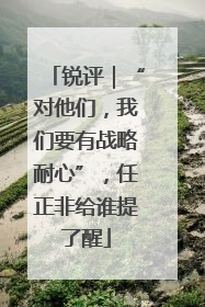 锐评｜“对他们，我们要有战略耐心”，任正非给谁提了醒