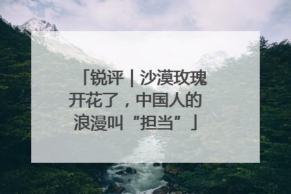 锐评｜沙漠玫瑰开花了，中国人的浪漫叫“担当”