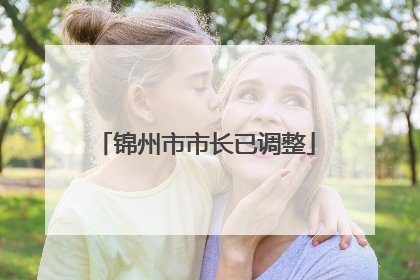 锦州市市长已调整