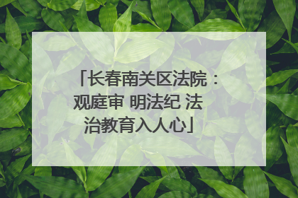长春南关区法院：观庭审 明法纪 法治教育入人心
