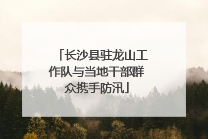 长沙县驻龙山工作队与当地干部群众携手防汛