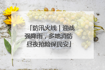 防汛火线｜迎战强降雨，多地消防昼夜抢险保民安