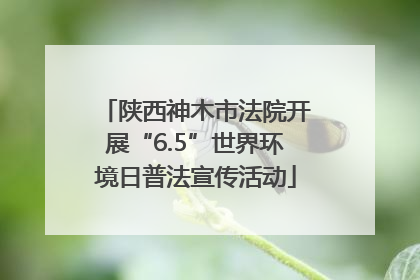 陕西神木市法院开展“6.5”世界环境日普法宣传活动