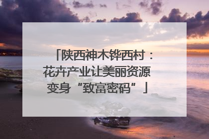 陕西神木铧西村：花卉产业让美丽资源变身“致富密码”