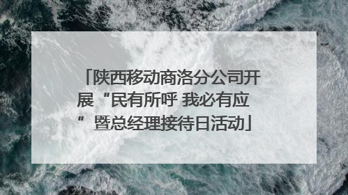 陕西移动商洛分公司开展“民有所呼 我必有应”暨总经理接待日活动
