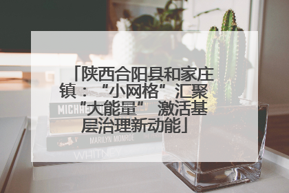 陕西合阳县和家庄镇：“小网格”汇聚“大能量” 激活基层治理新动能