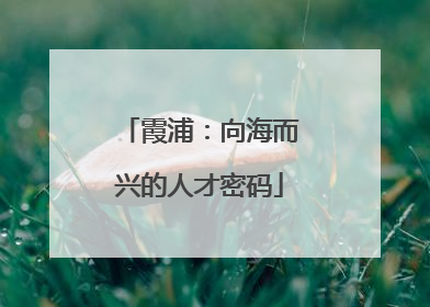 霞浦：向海而兴的人才密码